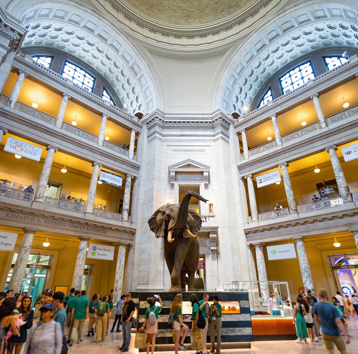 Exploring Washington, D.C.: A Journey Through Iconic Museums